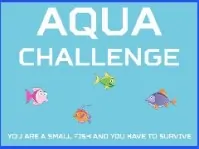 Aqua Challenge