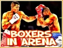 Boxers In Arena