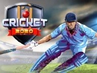 Cricket 2020