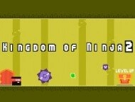 Kingdom Of Ninja 2