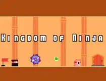 Kingdom Of Ninja