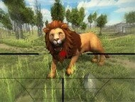 Lion Hunting 3d