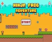 Ninja Frog Adventure